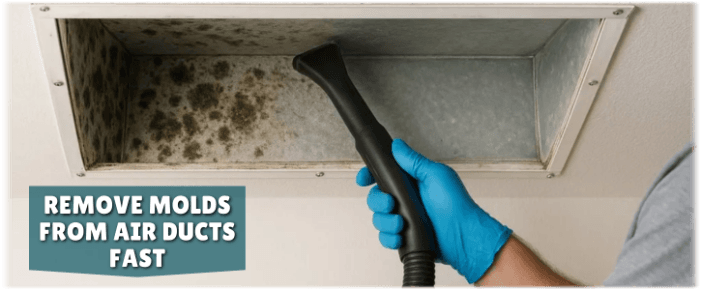 Air Duct Mold Removal in Miami FL
